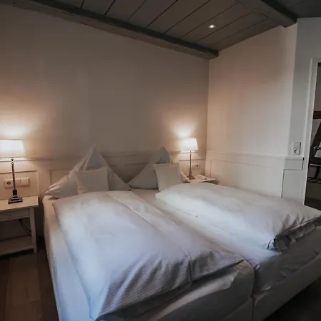 ホテル Boutique Am Rathaus - Reblaus 3*