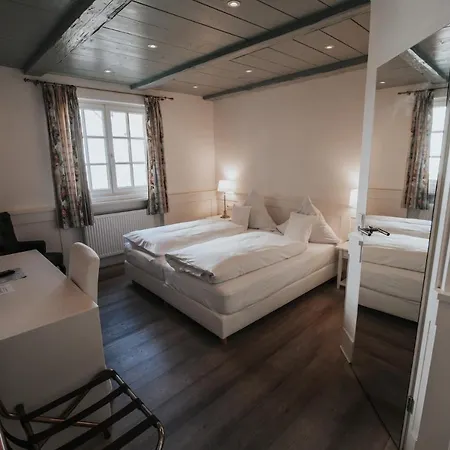 酒店 Boutique Am Rathaus - Reblaus 3*