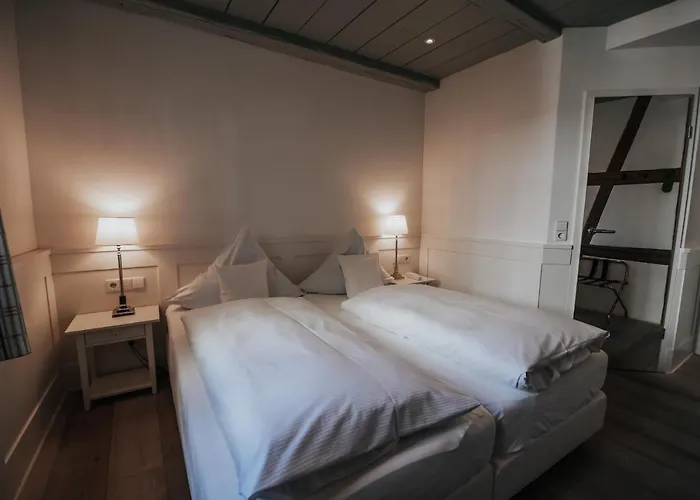 Hotel Boutique Am Rathaus - Reblaus 3*